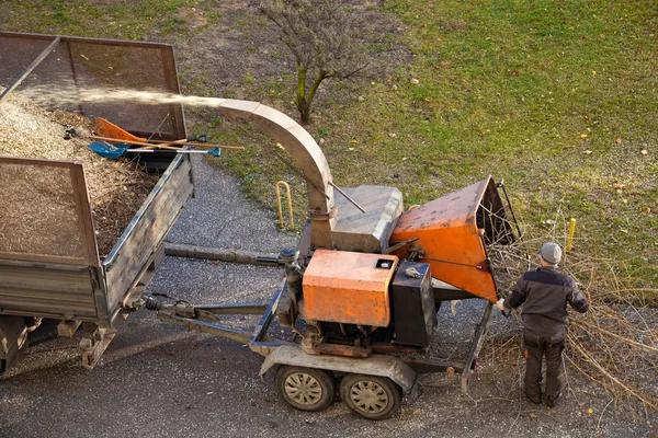 Certified Tree Service for Residential Properties